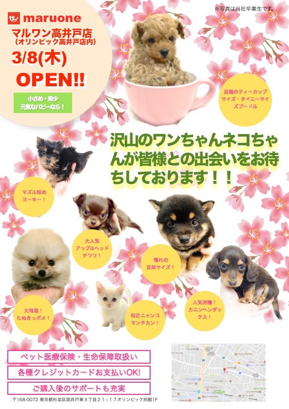 【新店OPEN!】3月8日(木)マルワン高井戸店オープンです!