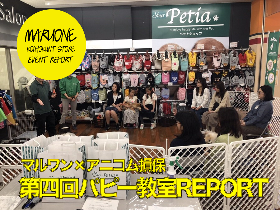 【しつけ教室第4回目開催】マルワン✖︎アニコム合同イベント！：港北NT店開催レポート！