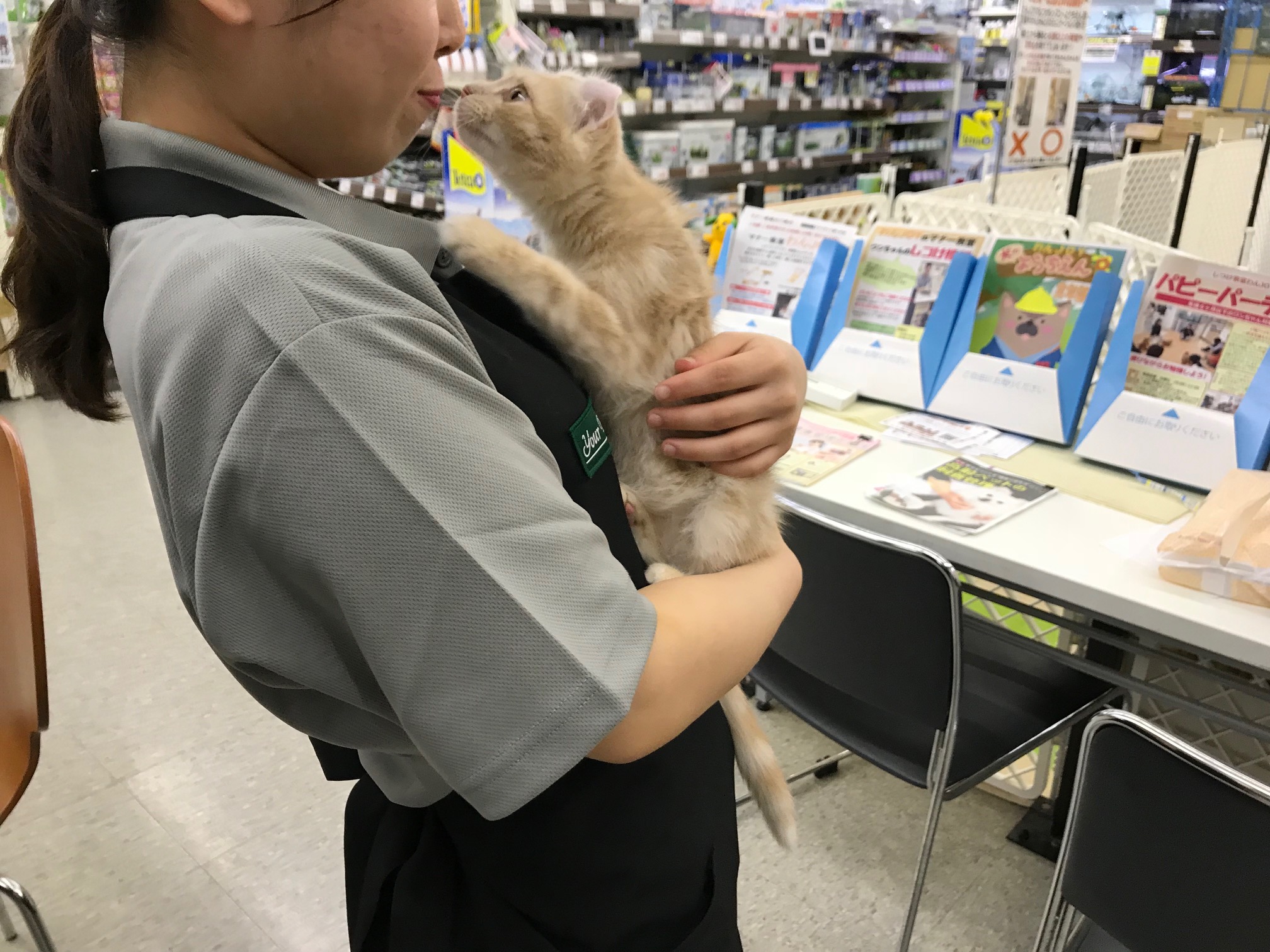 ママが好きには理由があるのです! | 【猫ちょこっと豆知識】 マルワン鎌ヶ谷店編