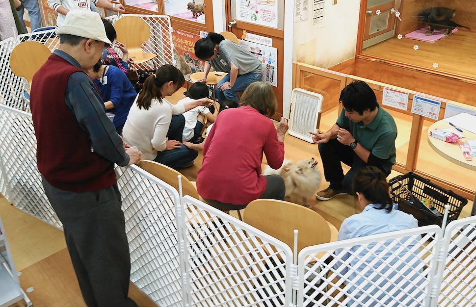 お時間の最後にご家族ごとに悩み相談タイム - ペットショップ マルワン下丸子 東京都大田区