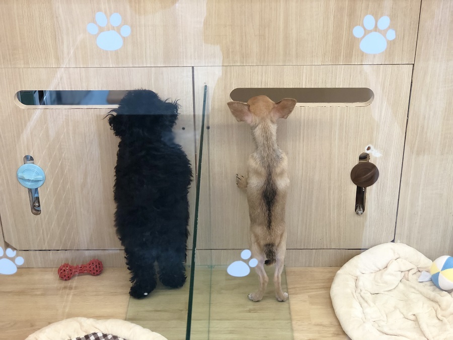ガラス越しに、お隣りのお友だちやお客様に