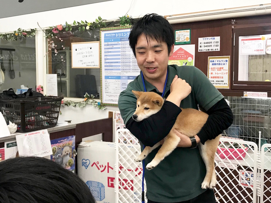 ボスくん：魔法の抱っこトレーニング - マルワン相模大塚店 | 【しつけ教室】マルワン×アニコム合同イベント！