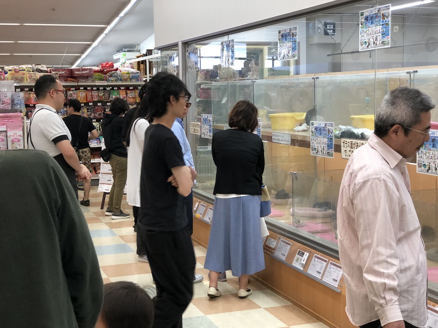 犬舎の前に謎の人だかり - ペットショップ ペッツワン城山 神奈川県相模原市