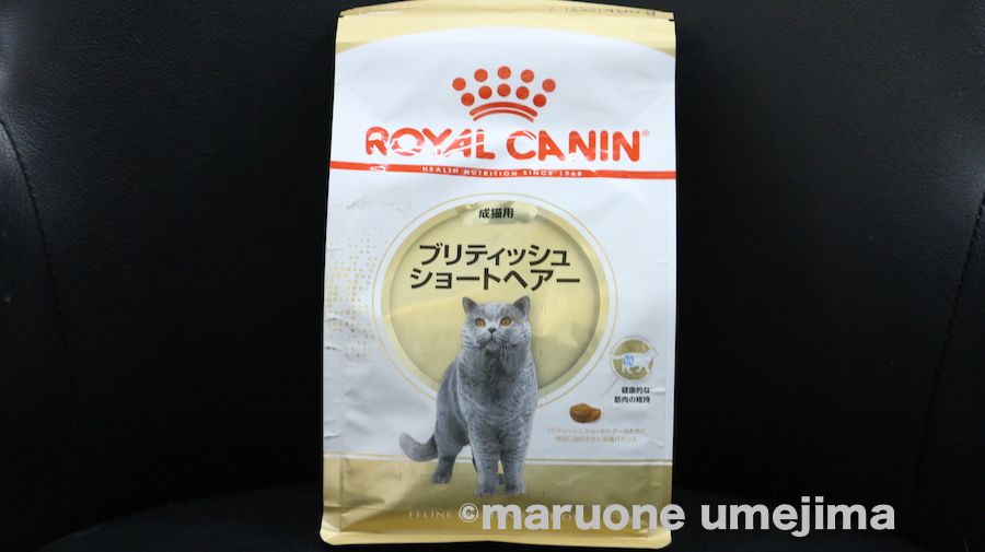 ブリティッシュ専用ご飯 | ブリティッシュ・ショートヘア （119108） - ペットショップ マルワン梅島 東京都足立区