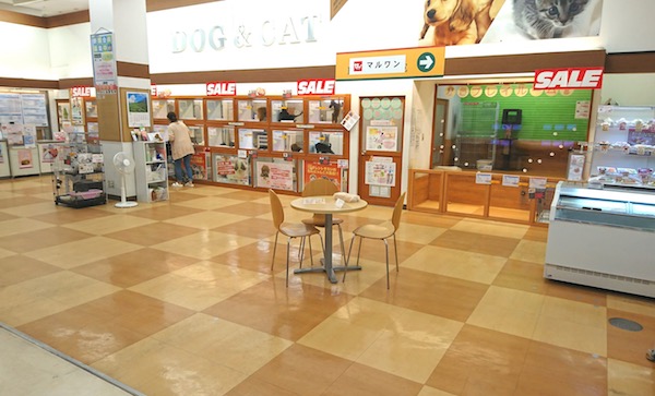 下丸子店店内の様子 | リニューアルオープン セール - ペットショップ マルワン下丸子 東京都大田区