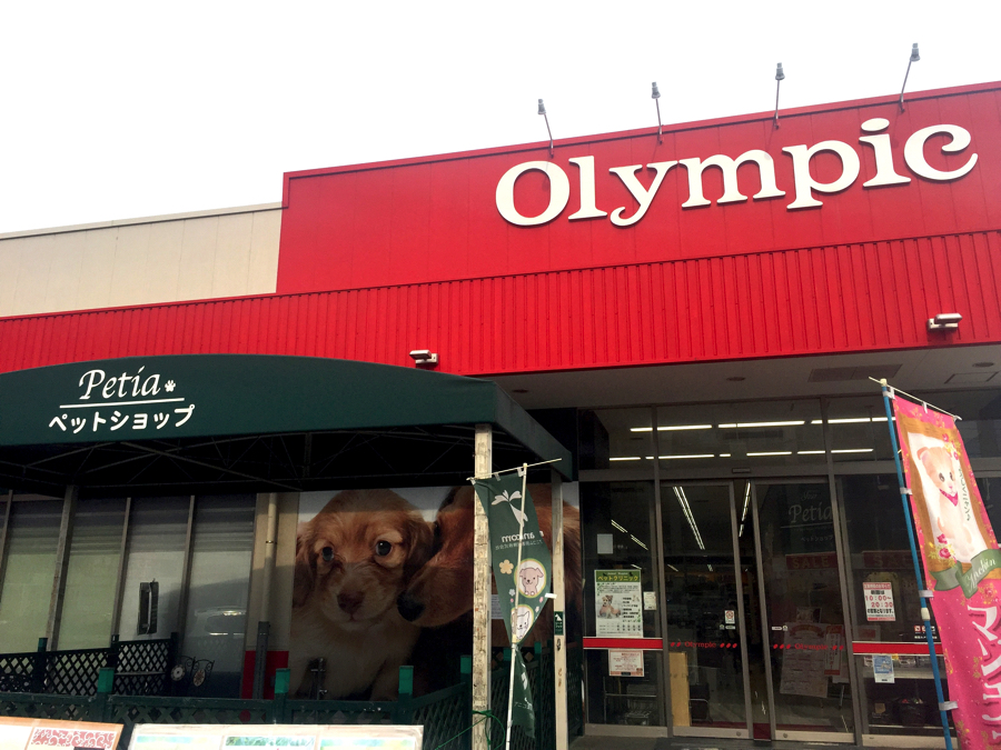 赤い看板が目印のOlympic! - ペットショップ マルワン大倉山 神奈川県横浜市港北区