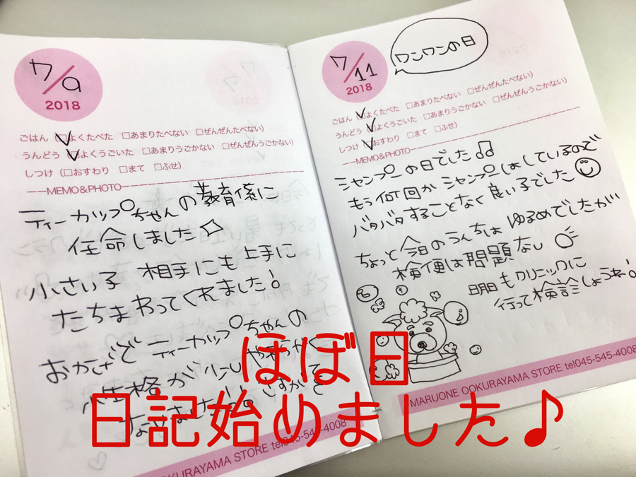 7月より日記をつけ始めました。 - ペットショップ マルワン大倉山 神奈川県横浜市港北区