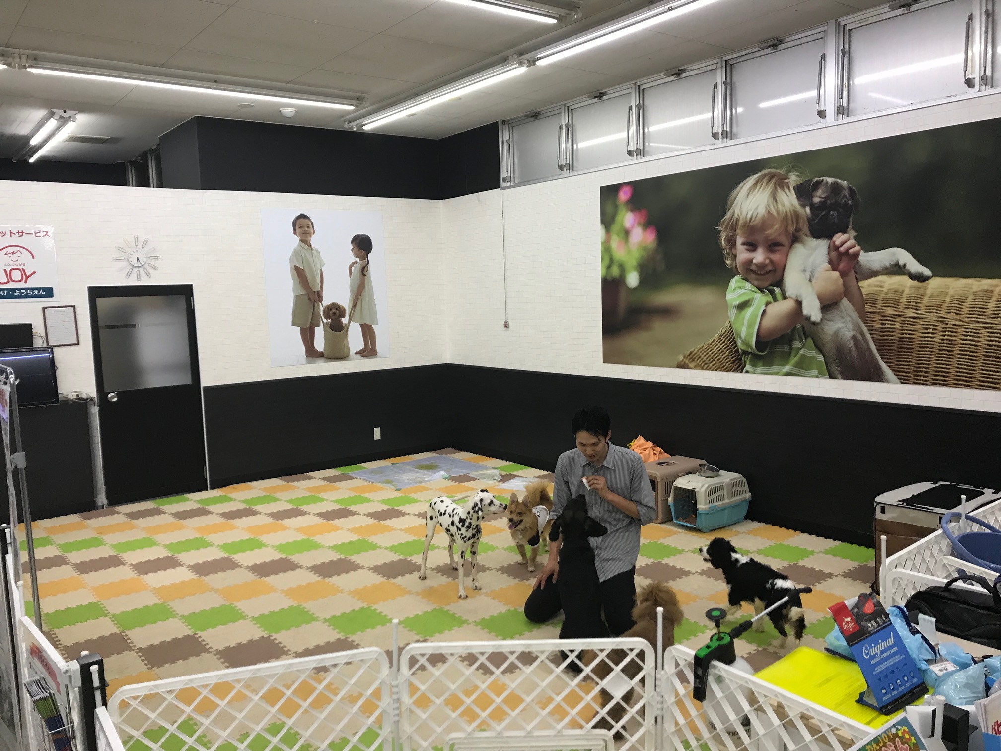 OPENから2年で育成頭数200頭越!!「犬に考えさせる」ドッグトレーニング - ペットショップ マルワン鎌ヶ谷 千葉県鎌ヶ谷市北初富