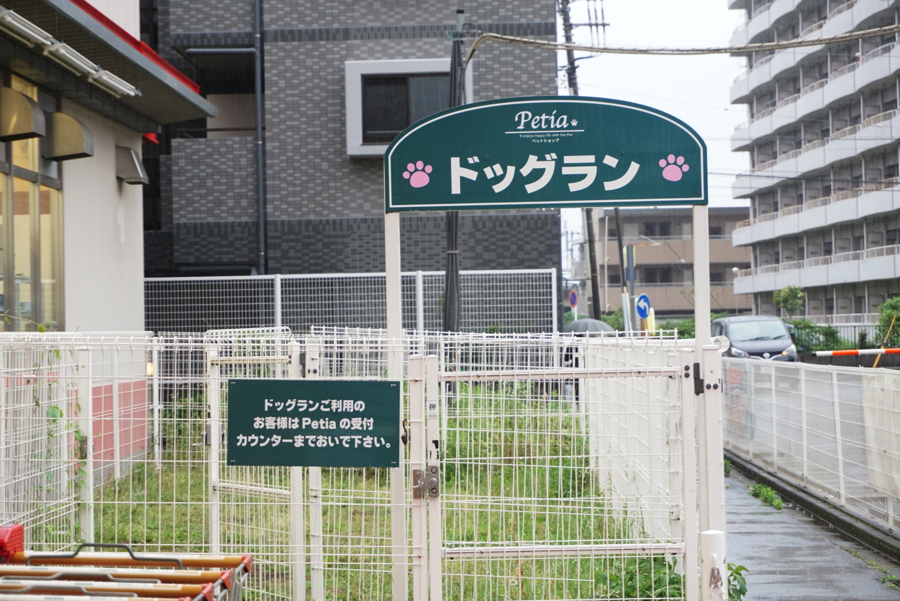 芝生のドッグラン - ペットショップ マルワン大倉山 神奈川県横浜市港北区