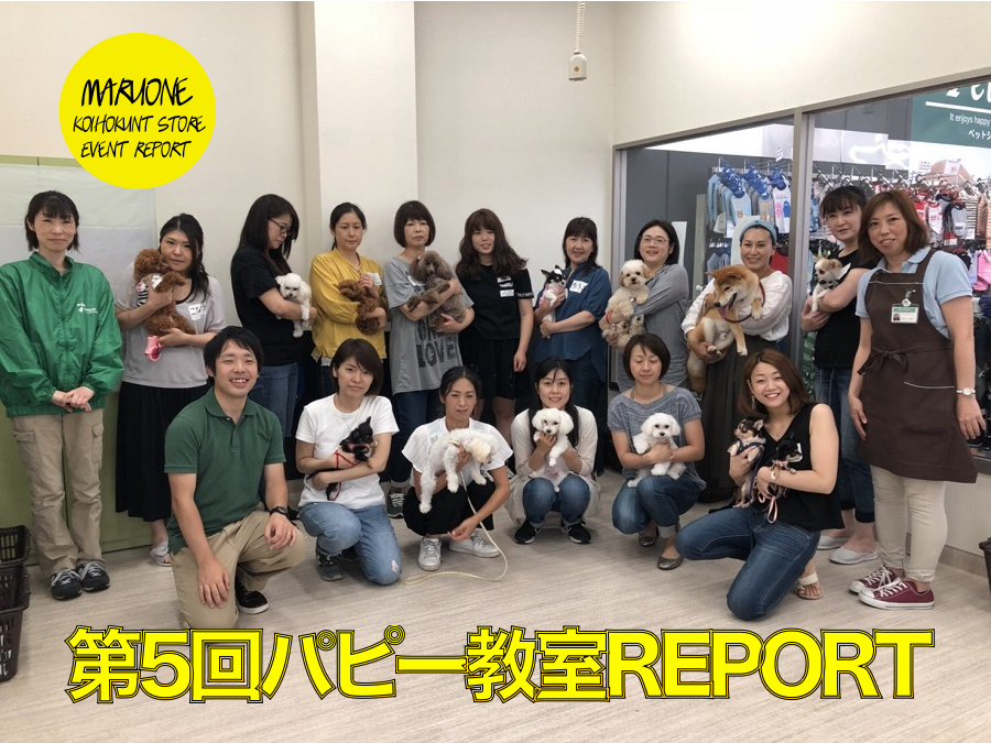 【わんこのしつけ】6/28 アニコム損保 × マルワン港北NT店 コラボ第5回 パピー教室レポート！
