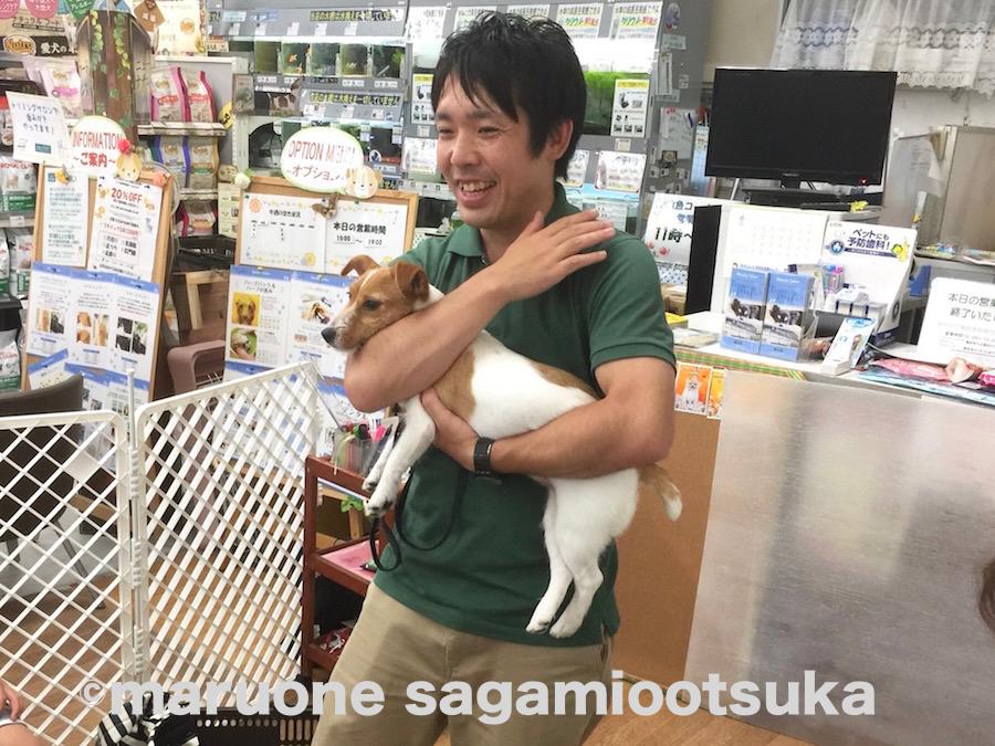 ケイトちゃん 安全な抱っこ | マルワン × アニコム損保 しつけ教室