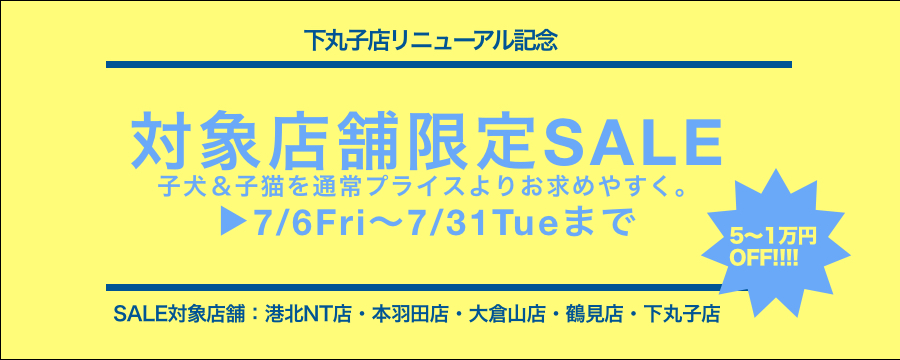 【限定SALE情報】下丸子店リニューアルにつき店舗限定・近隣店合同セール開催！