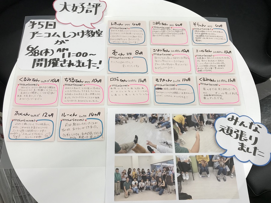 今後も定期的に開催していく予定です。 | アニコム損保 × マルワン港北NT店 しつけ教室