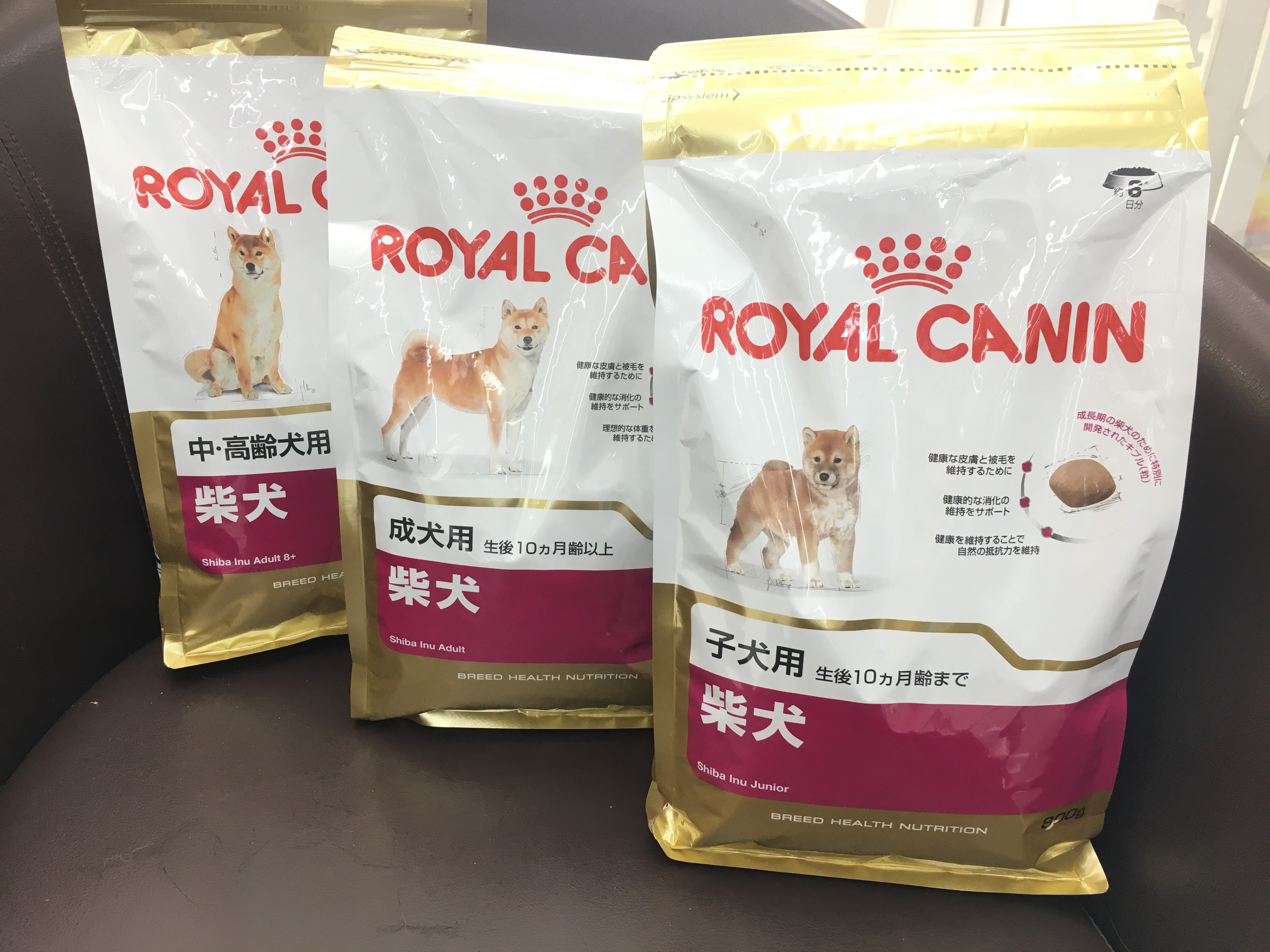 柴犬におすすめのごはんは? | 柴犬との生活 - ペットショップ マルワン