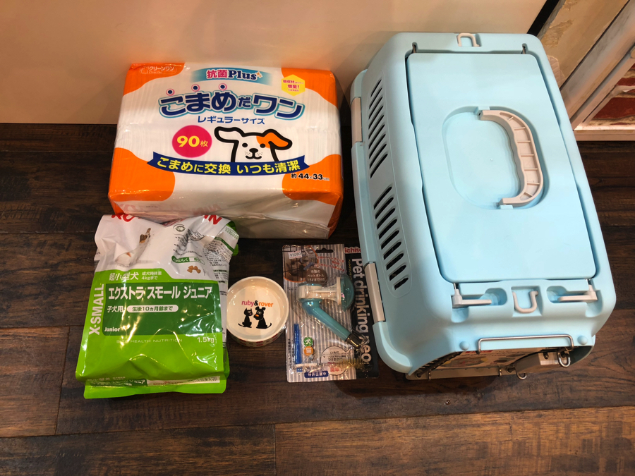 豆くんのお部屋 | 豆柴 柴犬 （11579） - ペットショップ マルワン白楽 神奈川県横浜市