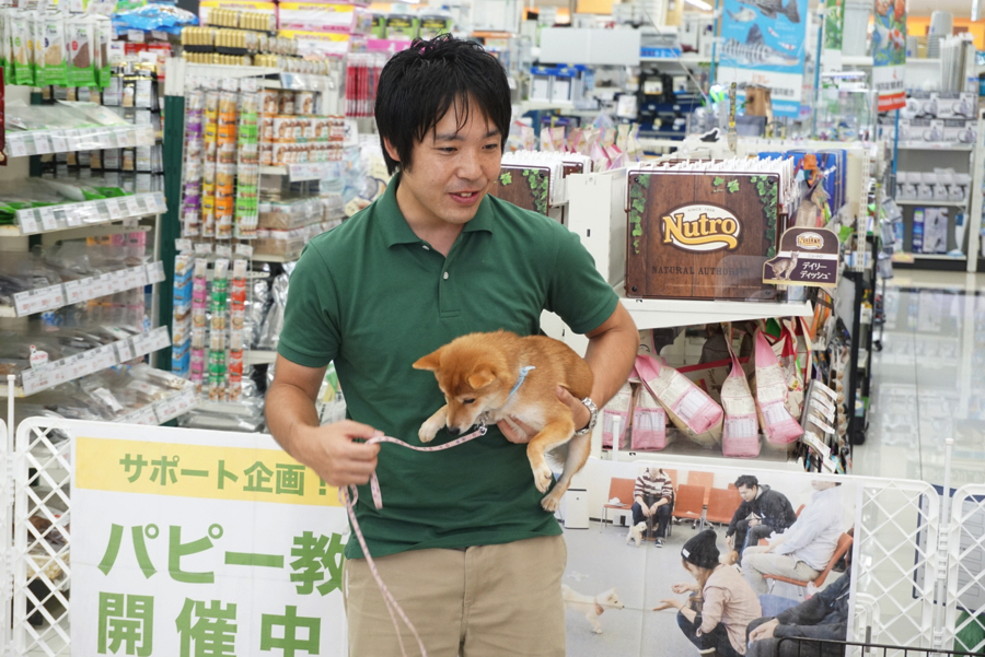 正しい抱っこ | アニコム損保 ＆ マルワンコラボイベント : パピー教室