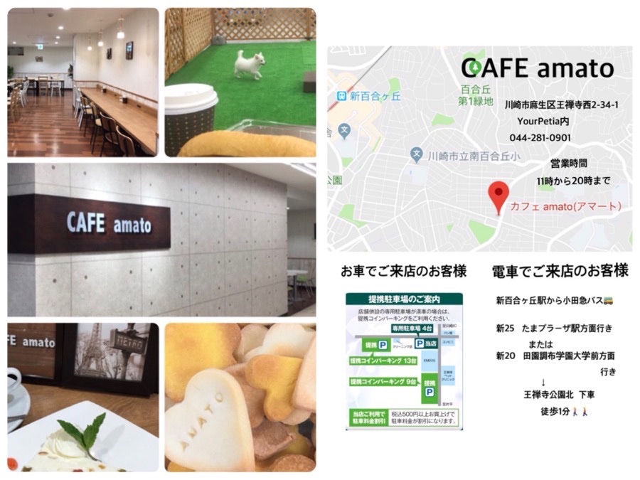 9/9(日)カフェAmatoで同窓会イベント開催! | 港北ニュータウン店 7周年記念イベント