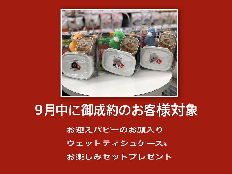 お楽しみセットをプレゼント | 港北ニュータウン店 7周年記念 イベント - ペットショップ マルワン