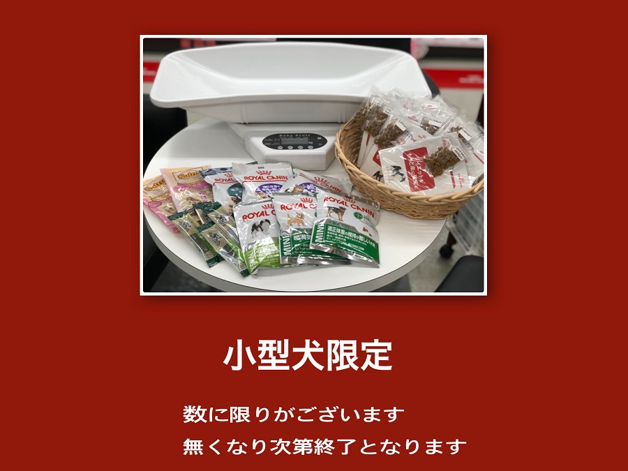 愛犬の体重測定とプレミアムフードサンプルをプレゼント | 港北ニュータウン店 7周年記念 イベント - ペットショップ マルワン