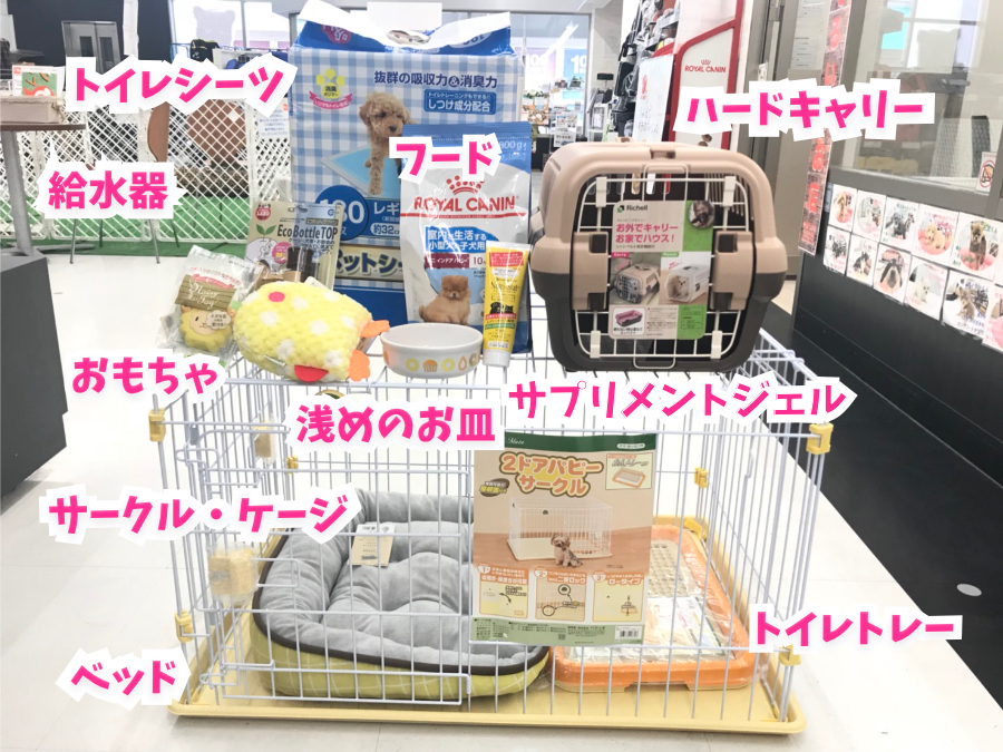 ドッグライフ スタートセット | パグ （014229） - ペットショップ マルワン東日暮里 東京都荒川区