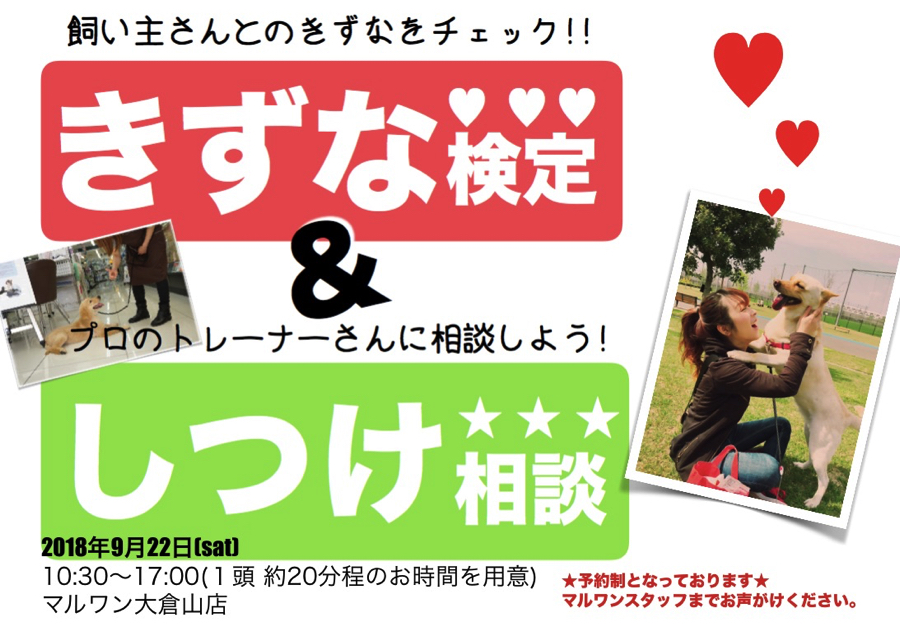 【 9.22大倉山店FESTIVAL開催！情報その2 】「しつけ相談会＆きずな検定＆パピー教室」〜アニコム損保協力〜 ペットショップマルワン大倉山店フェス開催！ペティアポイントも2倍！