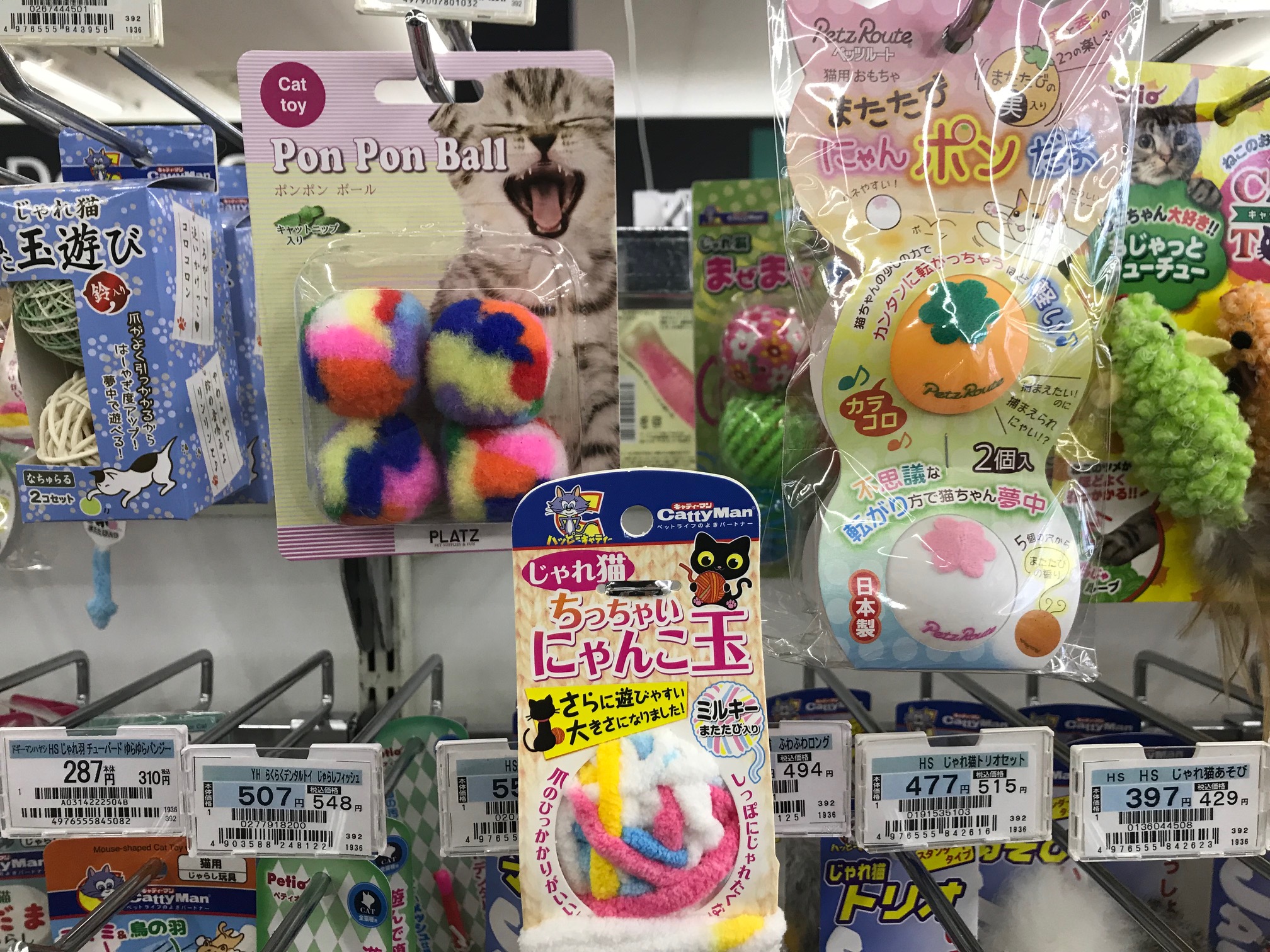 エキゾくんにオススメのおもちゃ | エキゾチック （117165） - ペットショップ マルワン鎌ヶ谷 千葉県鎌ヶ谷市北初富