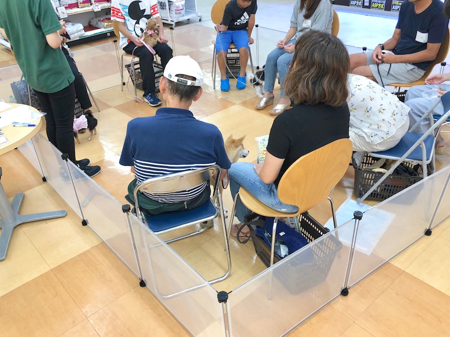 下丸子店では第二回目 | アニコム損保 ＆ マルワンコラボイベント : パピー教室