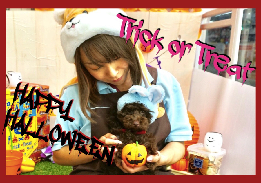 【 無料フォトスタジオのお知らせ 】大倉山店にご利用無料のハロウィーンブース出現！みんなで映えっちゃいましょ♥