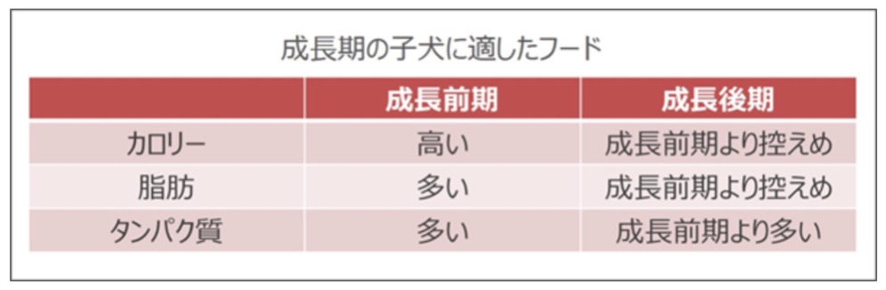成長期におけるフード選びのポイント | プロジェクト食育