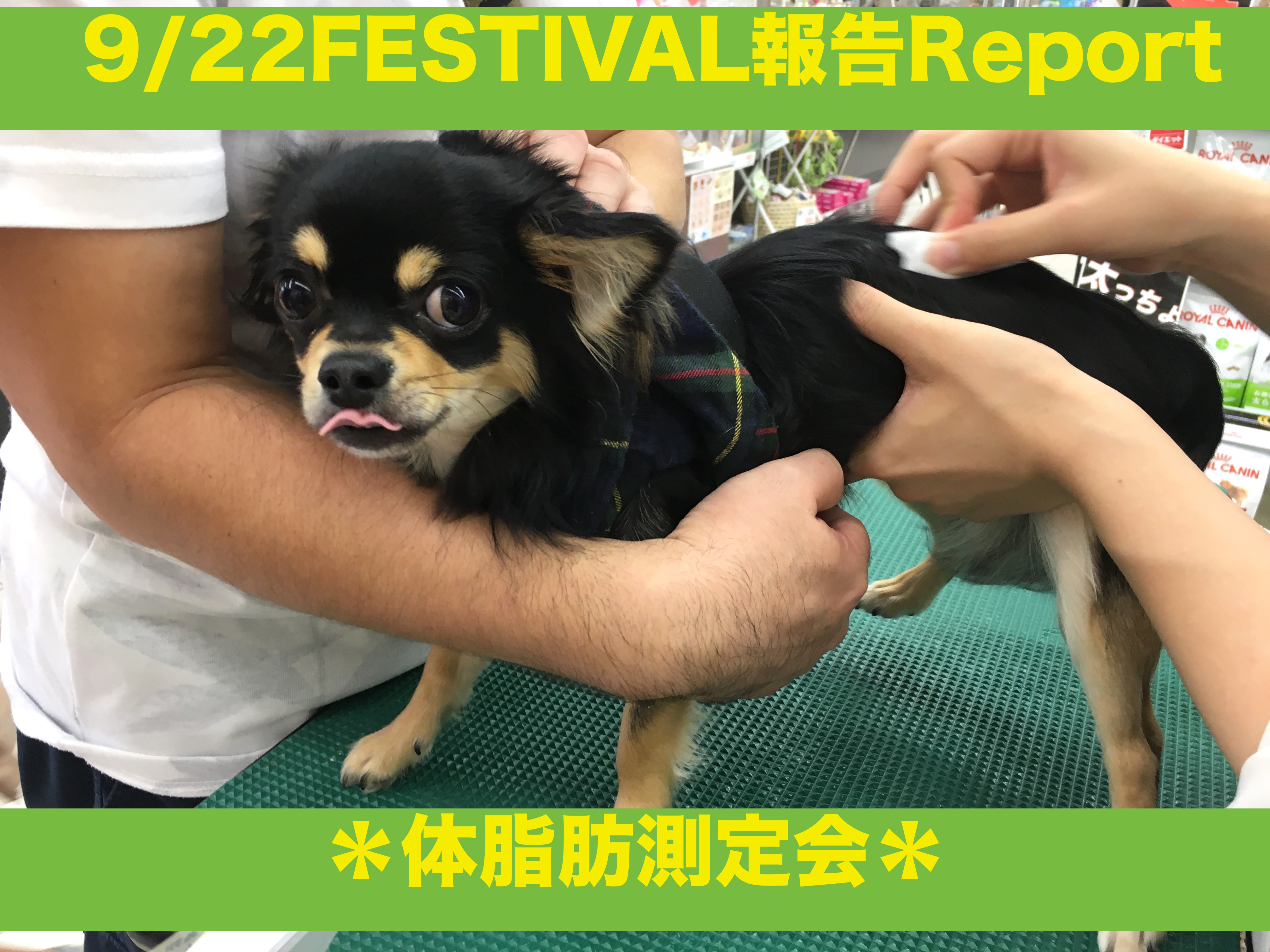 【9.22大倉山店フェスレポート其の2】約半数のワンちゃんが肥満体型?!愛犬の適正体型ってご存知ですか?「体脂肪測定編」