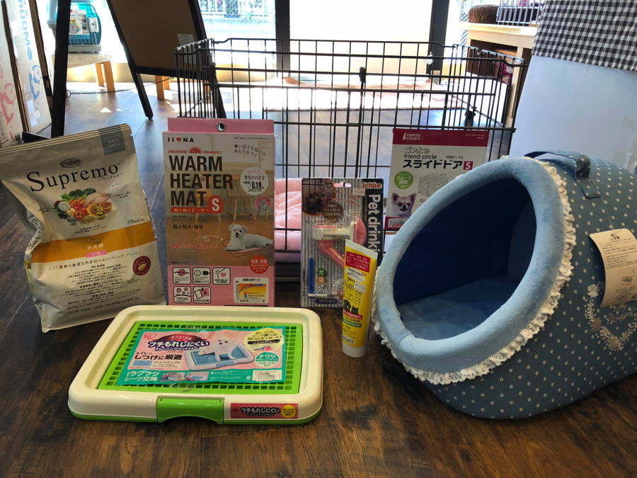 極小チワワちゃんとの生活に必要な物をご紹介! | 極小チワワ (11590) - ペットショップ マルワン白楽 神奈川県横浜市