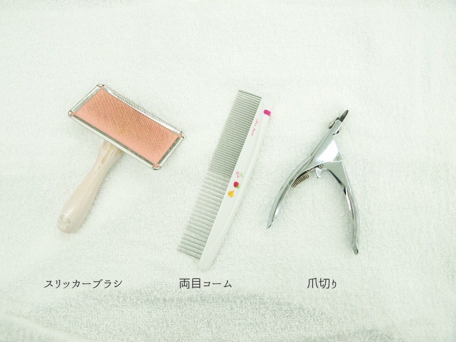 お手入れ三種の神器 | ウェスト・ハイランド・ホワイトテリア (014233) - ペットショップ マルワン東日暮里 東京都荒川区