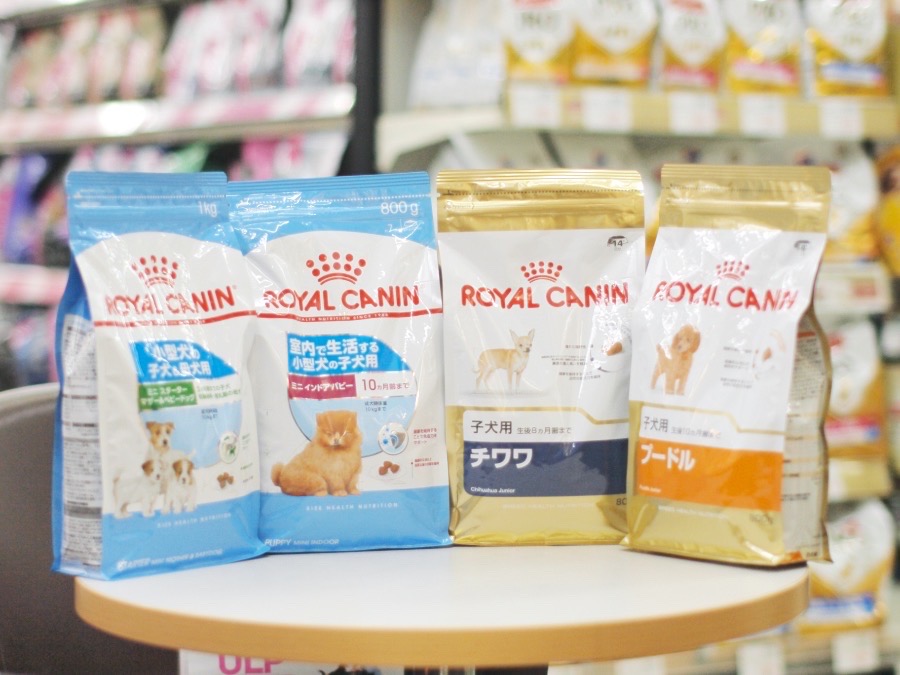 多くのフードメーカーは子犬フードを「生後12ヶ月」までと定めている製品が多いと思われますが、ロイヤルカナン社が犬種によって「生後8ヶ月」「生後10ヶ月」という複数のラインを引いている理由について解説をお願いいたします。 | プロジェクト食育