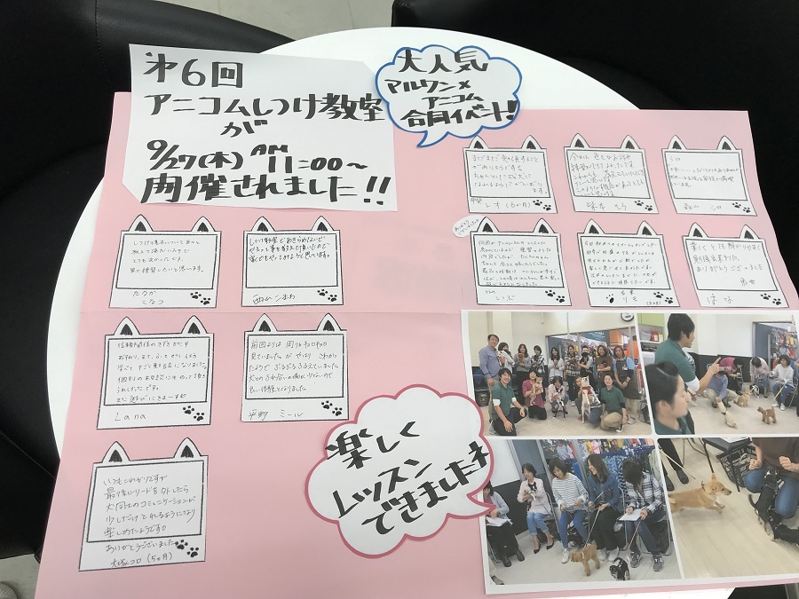今回参加された方のお声 | 港北NT店パピー教室 イベントレポート