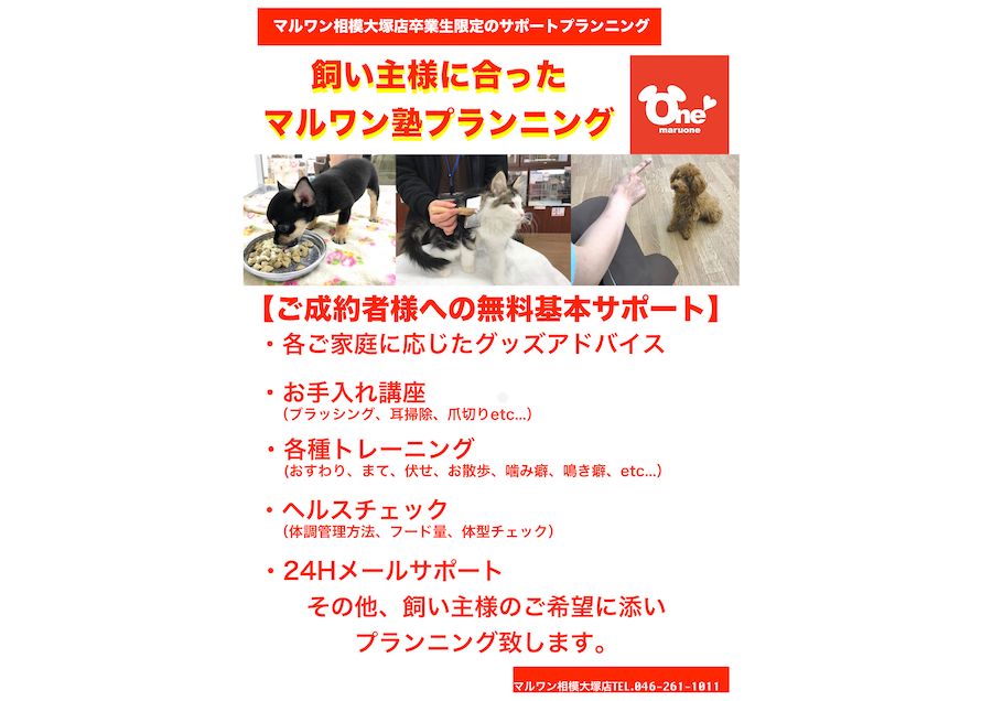 初めてペットと暮らす方でも安心して暮らせるサポート体制 | ペットショップ マルワン相模大塚 神奈川県大和市