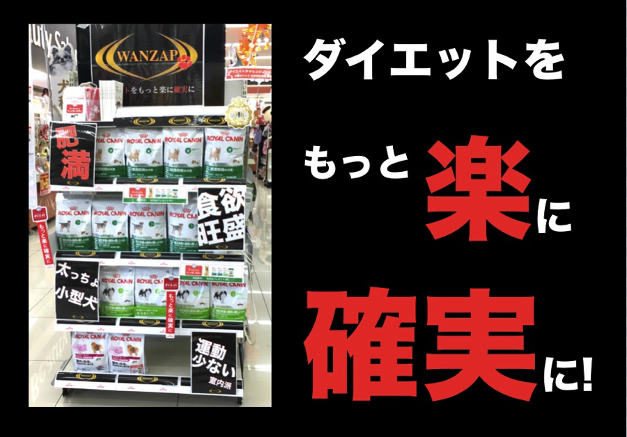 大倉山店では特設ブースを設置しています。 | きずな検定報告レポート