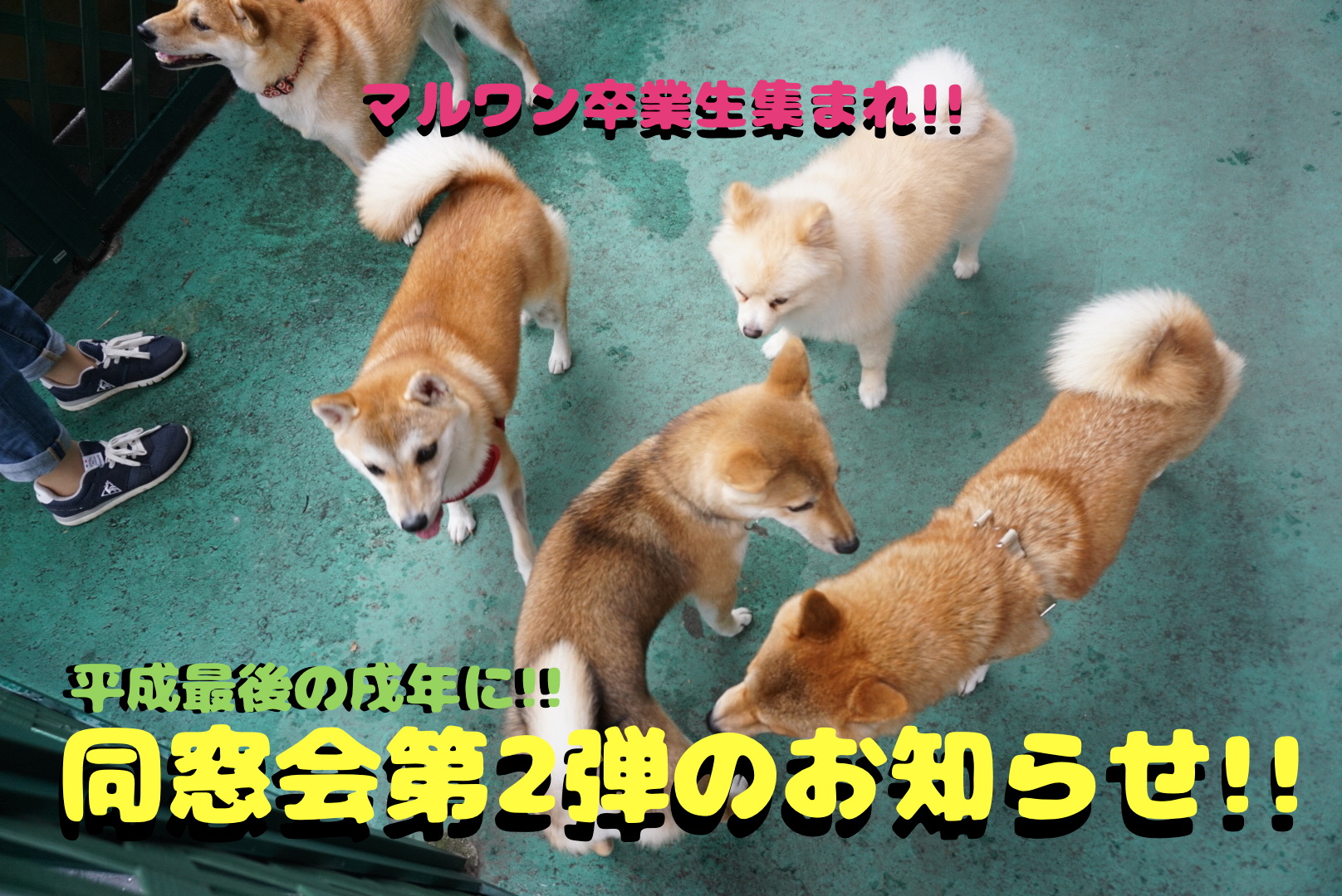 【 2018年大倉山店ラストイベント！】マルワン卒業生集まれ!!平成最後の戌年に同窓会開催のお知らせ!!