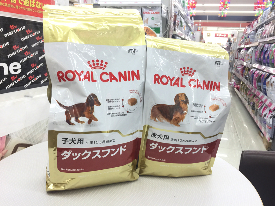 ロイヤルカナンの「ダックス専用フード」 | ミニチュア・ダックスフント （6130732） - ペットショップ マルワン大倉山 神奈川県横浜市港北区