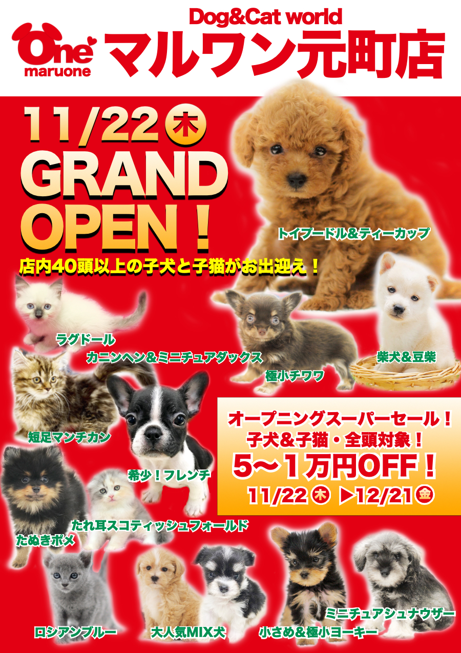 【新店舗OPEN！】横浜新山下にマルワン17番目の店舗「マルワン元町店」が生まれます！