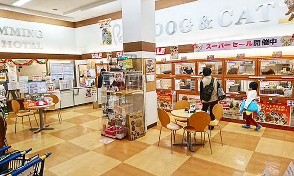 下丸子店