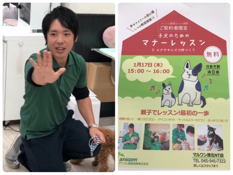 元気いっぱいの卒業生に会えることをスタッフ一同楽しみにしております。 | アニコム社合同パピー教室 - 港北ニュータウン店