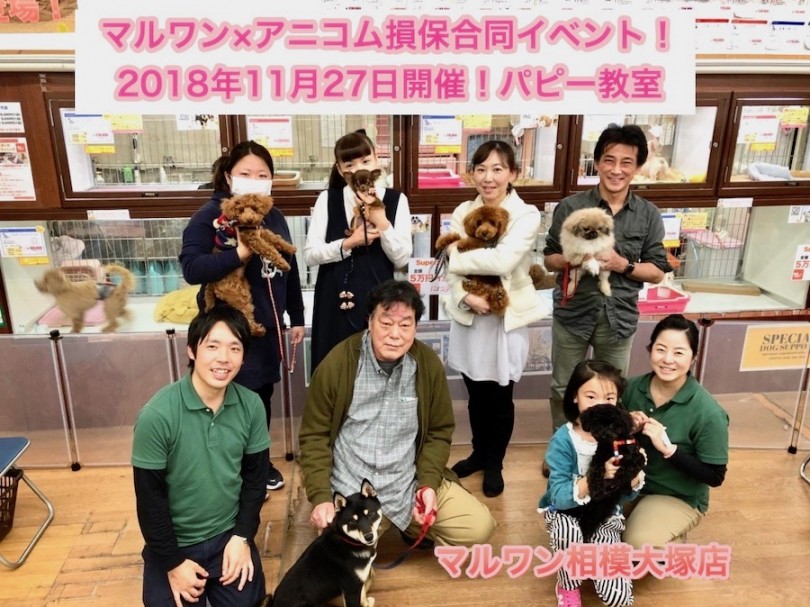 【11/27パピー教室】相模大塚店パピー教室レビュー！マルワン×アニコム損保合同イベント！
