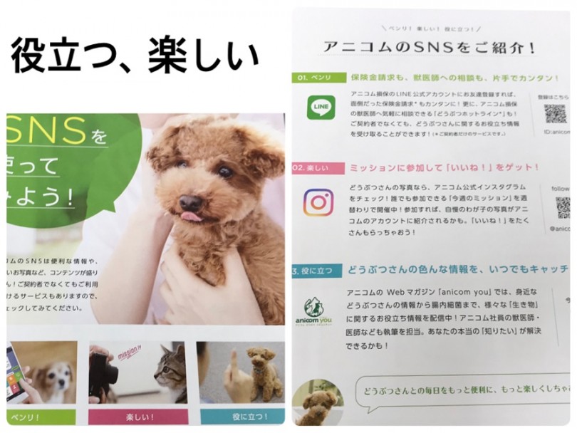 お知らせ | アニコム社合同パピー教室 - 港北ニュータウン店