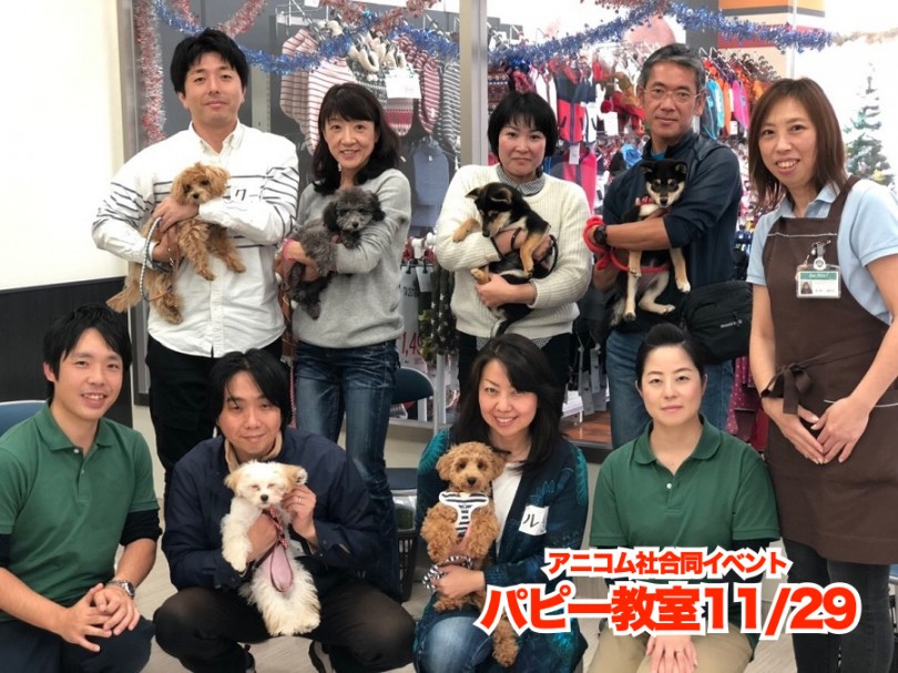 【 11/29港北NT店パピー教室】アニコム社合同パピー教室レポート！