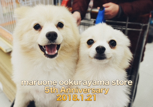 去年の撮影に参加してくれたぽぽ＆もも | 祝・大倉山店6歳！バースデーイベント開催！ - 大倉山店