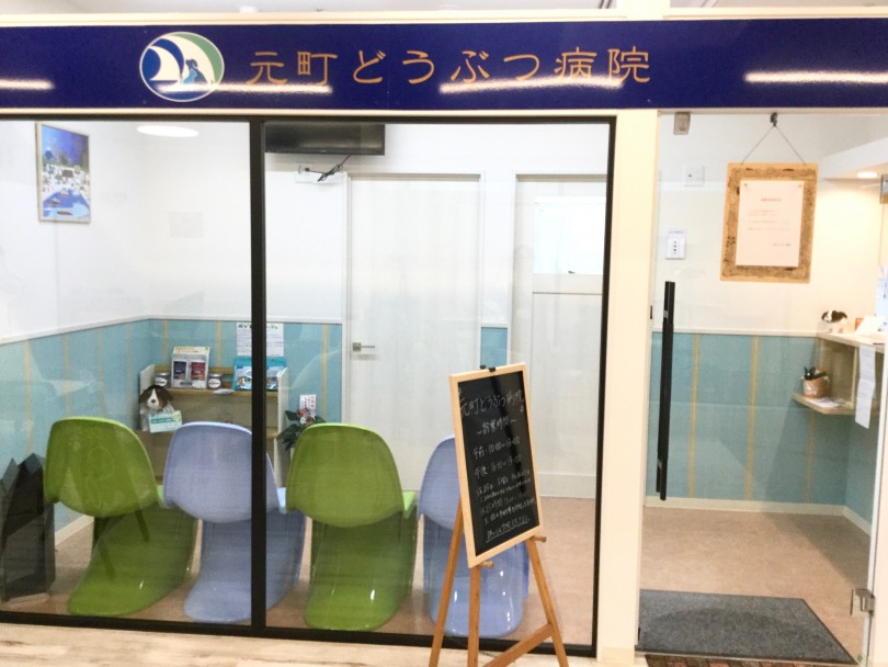 どうぶつ病院 | マルワンカフェ - 元町店