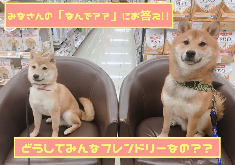 【 大倉山店流育成術 】「なんで??」にお答えするコーナー!!大倉山店の子がフレンドリーな理由を大公開!!