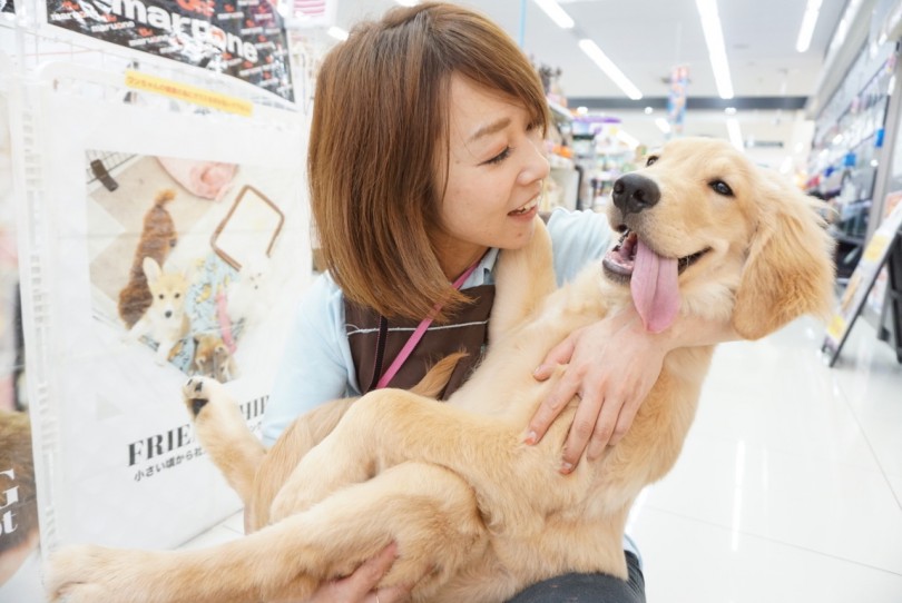 一番大切なのは愛情 | 大倉山店流 パピー キティー 育成術