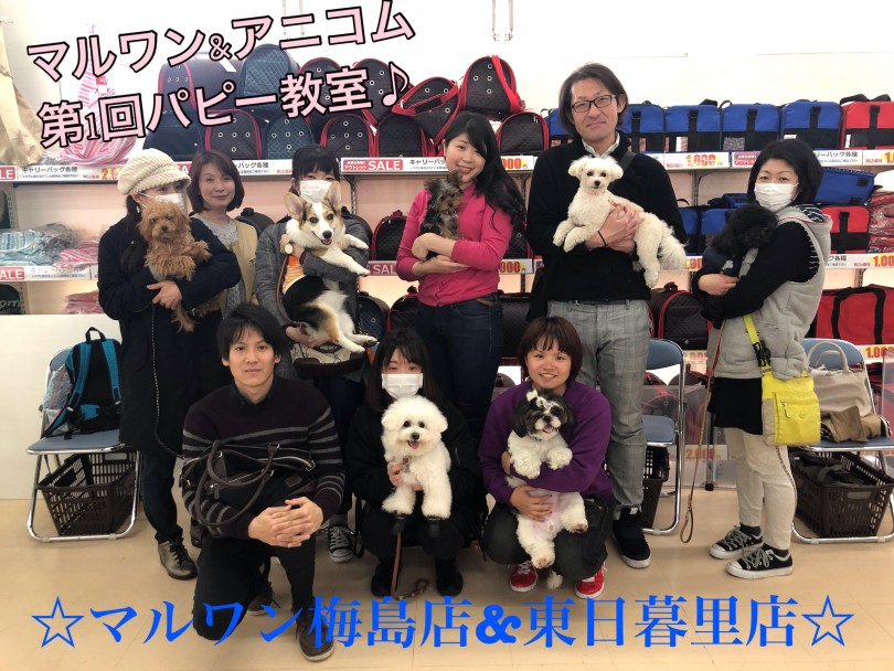 【 パピー教室開催レポート 】梅島店＆東日暮里店との第1回アニコム損保協賛合同開催！