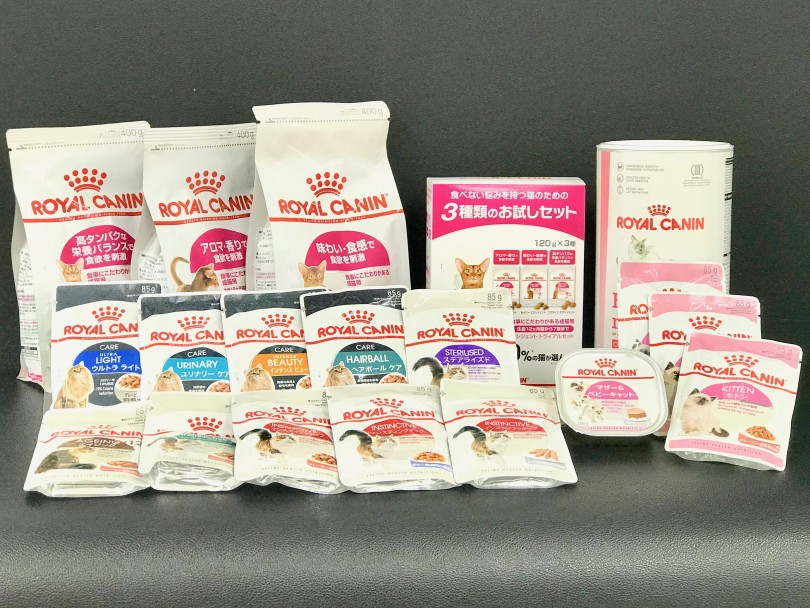 食育トレーニング始めています | スクーカム （120157） - 今宿店